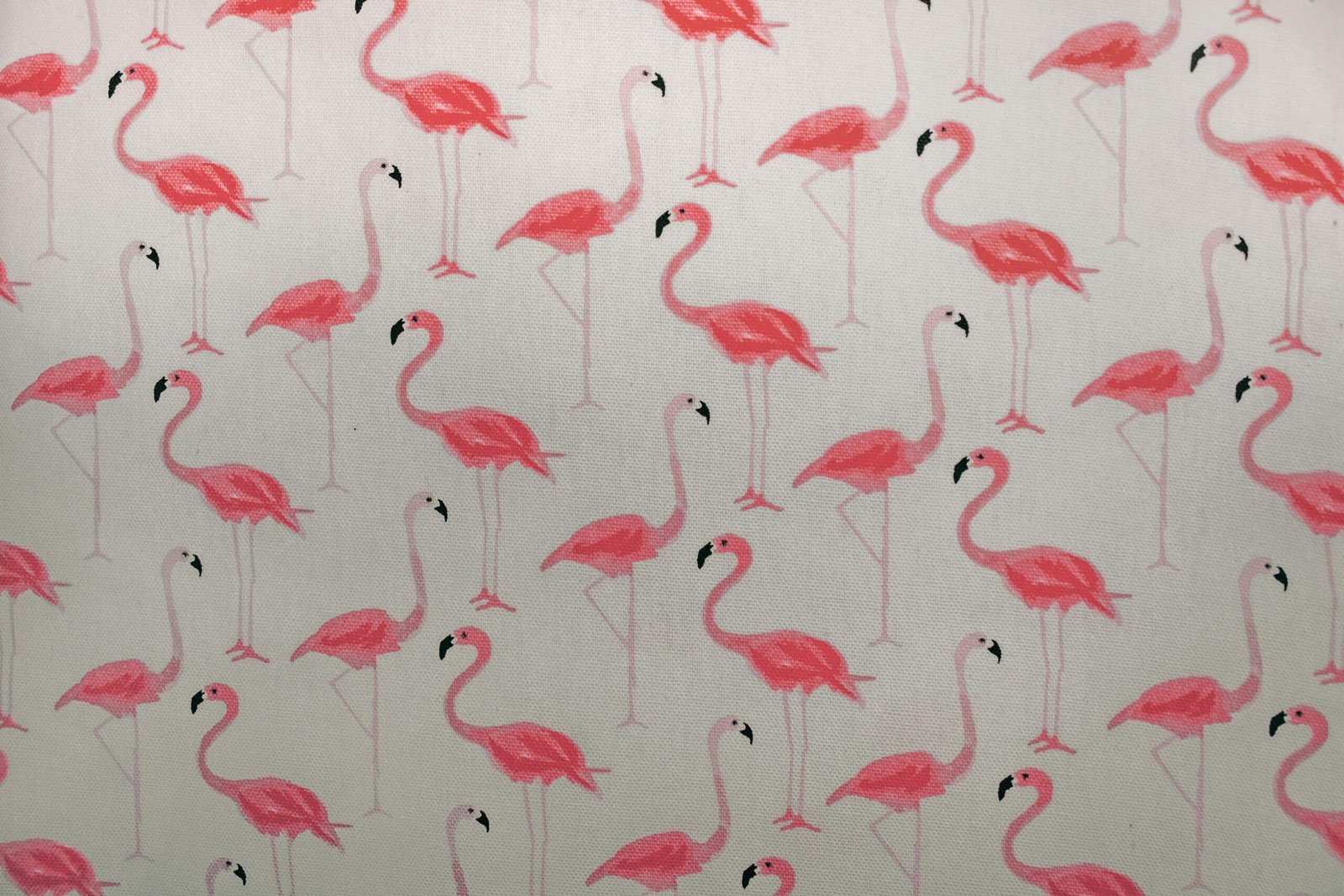 Vibrant pink flamingos on a patterned wallpaper, perfect for decoration.
